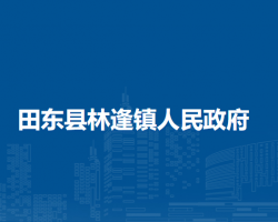 田東縣林逢鎮(zhèn)人民政府