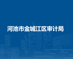 河池市金城江區(qū)審計局