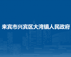 來賓市興賓區(qū)大灣鎮(zhèn)人民政府