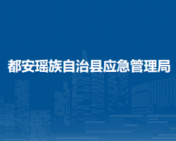 都安瑤族自治縣應急管理局