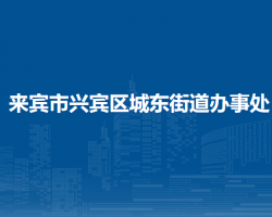 來(lái)賓市興賓區(qū)城東街道辦事處